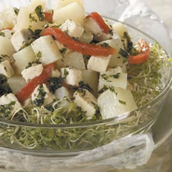 Ensalada de Papas y Pollo